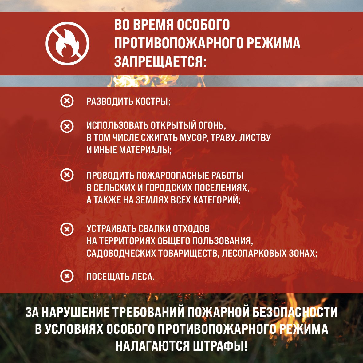 ВНИМАНИЕ!.